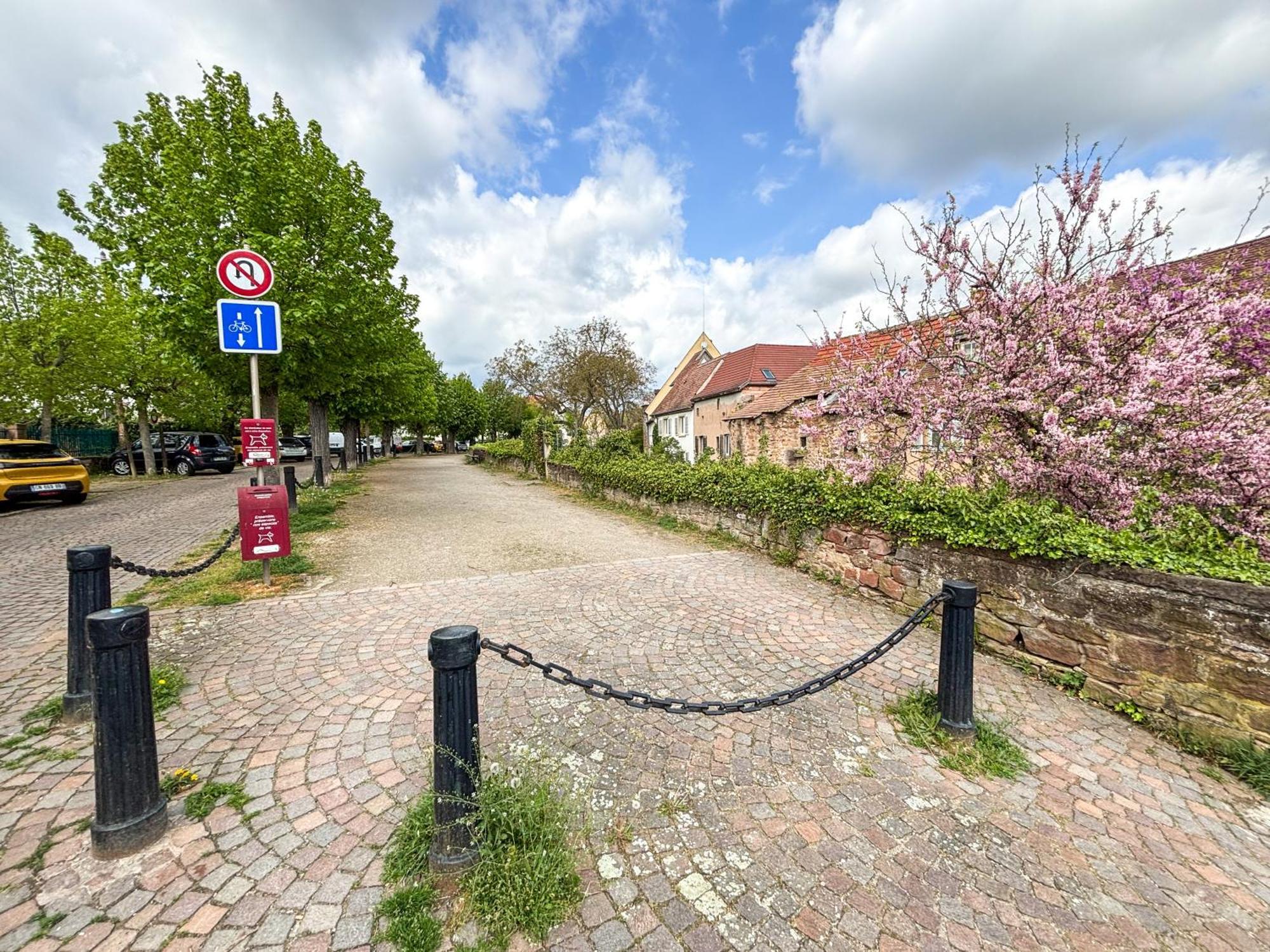 Le Pavillon Des Remparts - Commerces A Proximite - Centre-Ville - Appartement Cosy Obernai Eksteriør bilde